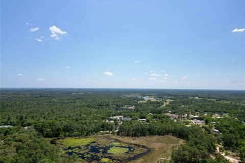 Land in Eustis, Florida № 1445048 - photo 25