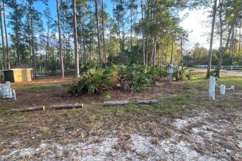 Land in Eustis, Florida № 1445048 - photo 13