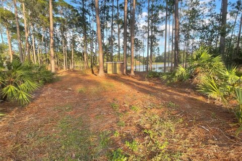 Land in Eustis, Florida № 1445048 - photo 5
