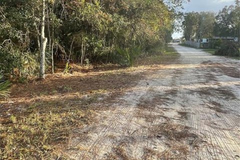 Land in Eustis, Florida № 1445048 - photo 22