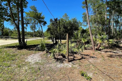 Land in Eustis, Florida № 1445048 - photo 2