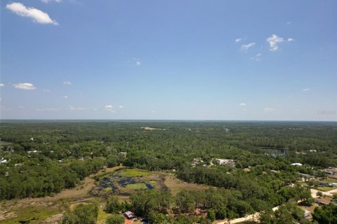 Land in Eustis, Florida № 1445048 - photo 23