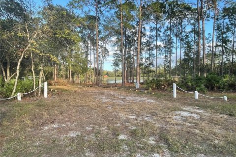Land in Eustis, Florida № 1445048 - photo 4