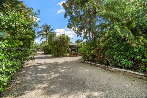 Land in Homestead, Florida № 1781436 - photo 4