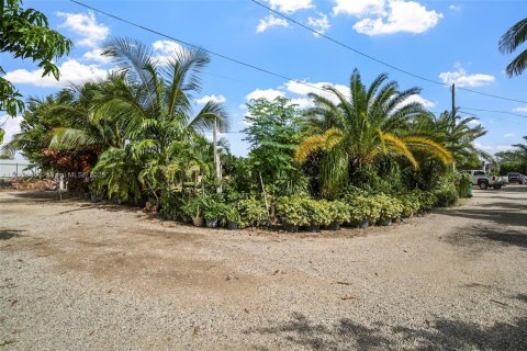 Land in Homestead, Florida № 1781436 - photo 7