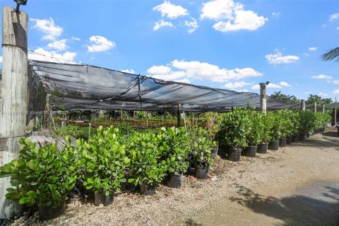 Land in Homestead, Florida № 1781436 - photo 19