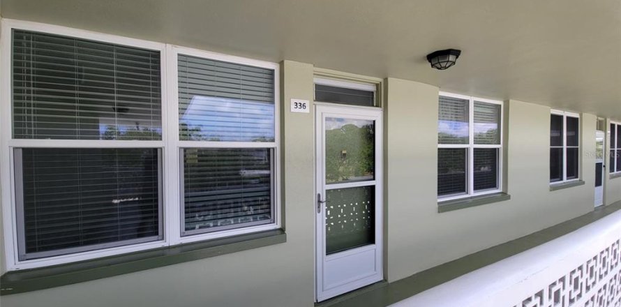 Condo in Saint Petersburg, Florida, 2 bedrooms  № 2100008