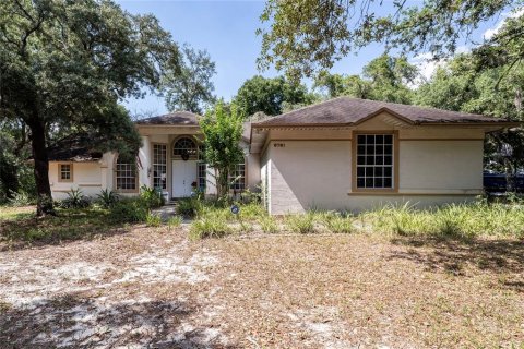 Villa ou maison à vendre à Orlando, Floride: 4 chambres, 220.18 m2 № 2092120 - photo 4