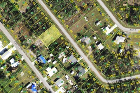 Купить земельный участок в Пунта-Горда, Флорида № 2165535 - фото 3
