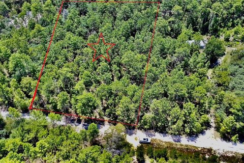 Land in Welaka, Florida № 2297155