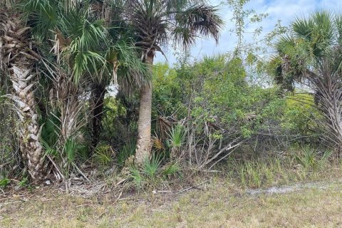Land in Port Charlotte, Florida № 2161830