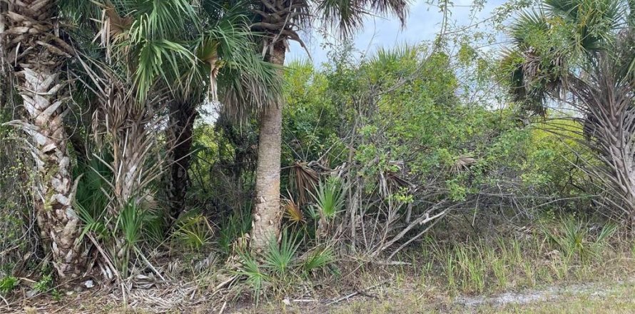 Land in Port Charlotte, Florida № 2161830