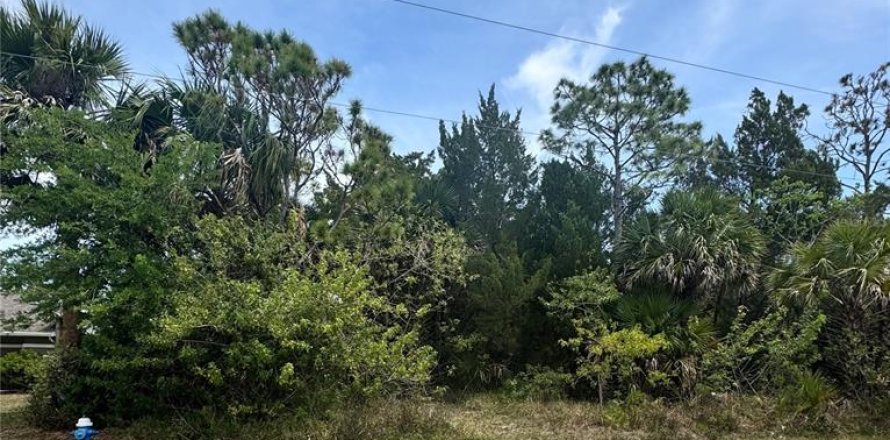 Terrain à Palm Coast, Floride № 1732551