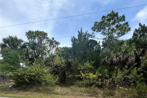 Terrain à vendre à Palm Coast, Floride № 1732551 - photo 4