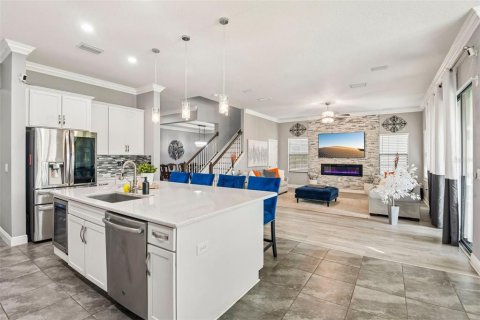 Villa ou maison à vendre à Land O' Lakes, Floride: 5 chambres, 448.53 m2 № 2201705 - photo 20