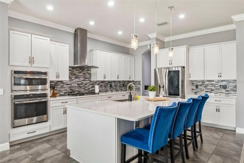 Villa ou maison à vendre à Land O' Lakes, Floride: 5 chambres, 448.53 m2 № 2201705 - photo 2