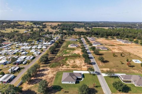 Casa en venta en Dade City, Florida, 4 dormitorios, 201.51 m2 № 2203979 - foto 21