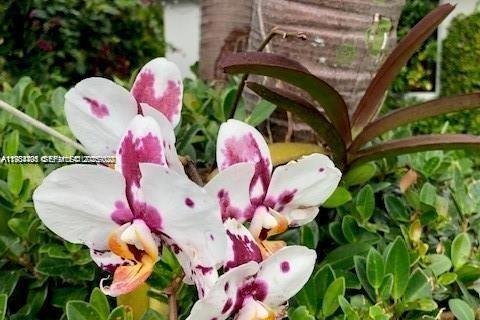 Casa en alquiler en Miami Shores, Florida, 3 dormitorios, 127.55 m2 № 1992951 - foto 11