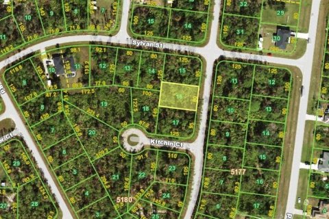 Land in Port Charlotte, Florida № 2159376 - photo 3