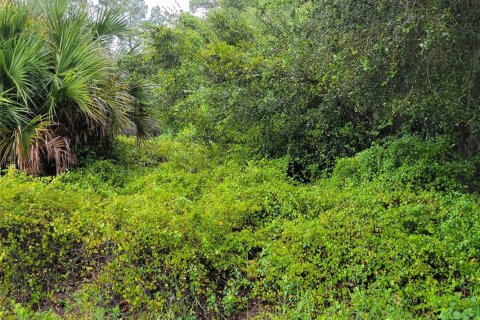 Land in Clewiston, Florida № 1029690 - photo 1
