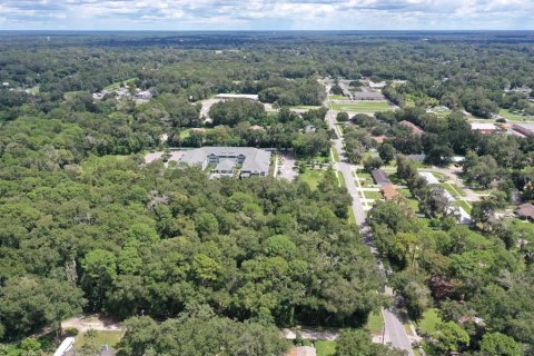Terreno en venta en Ocala, Florida № 2339028 - foto 5