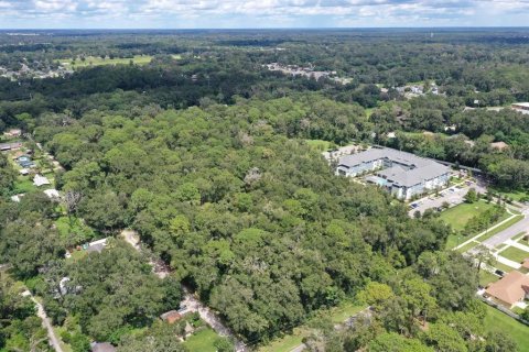 Terreno en venta en Ocala, Florida № 2339028 - foto 4