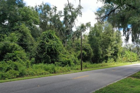 Terreno en venta en Ocala, Florida № 2339028 - foto 2