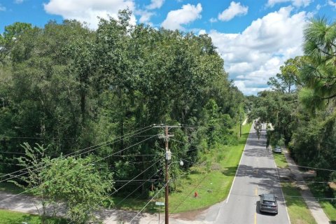 Terreno en venta en Ocala, Florida № 2339028 - foto 8