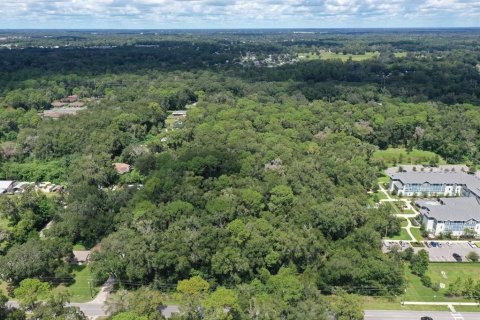Terreno en Ocala, Florida № 2339028