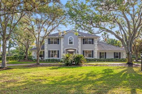 House in Lutz, Florida 5 bedrooms, 386.19 sq.m. № 1620758 - photo 1