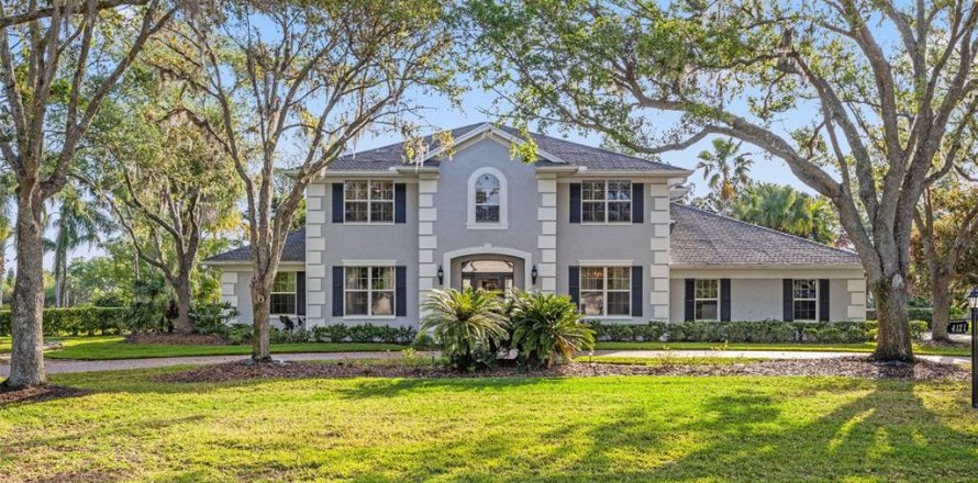 House in Lutz, Florida 5 bedrooms, 386.19 sq.m. № 1620758