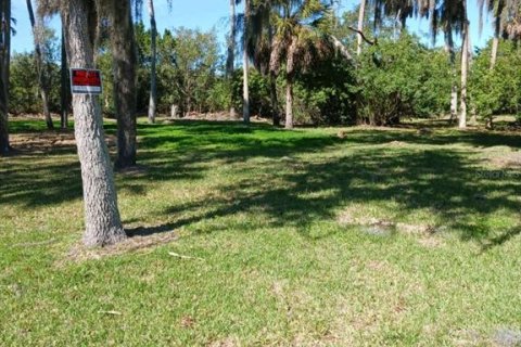 Land in Port Richey, Florida № 2229213 - photo 3