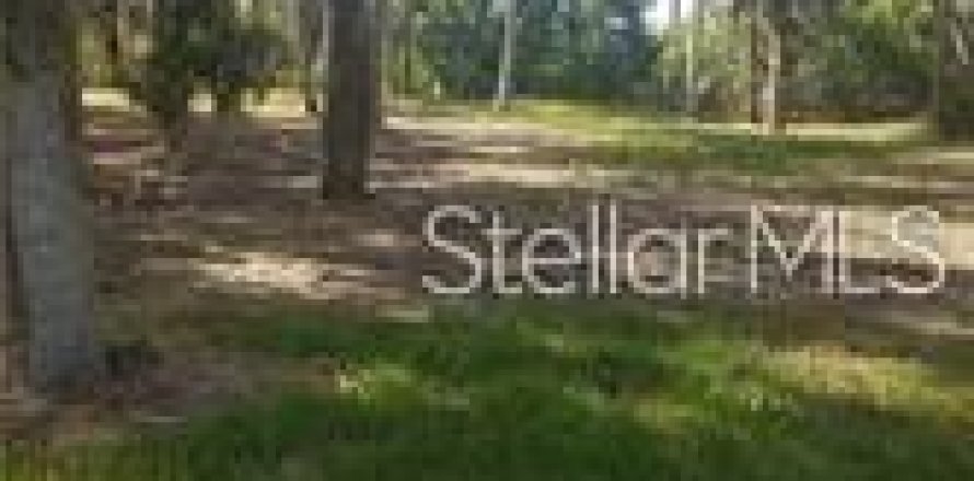 Land in Port Richey, Florida № 2229213