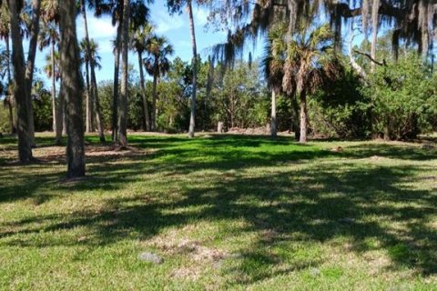 Land in Port Richey, Florida № 2229213 - photo 2