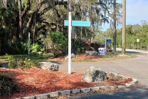 Land in Port Richey, Florida № 2229213 - photo 7