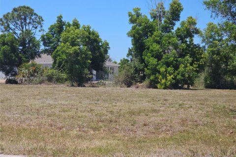 Land in Cape Coral, Florida № 1977250 - photo 3