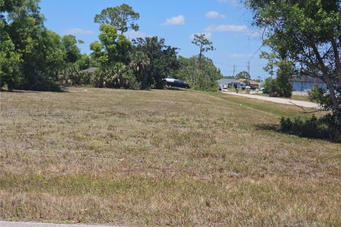 Land in Cape Coral, Florida № 1977250 - photo 9