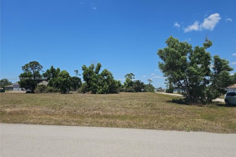 Land in Cape Coral, Florida № 1977250 - photo 6