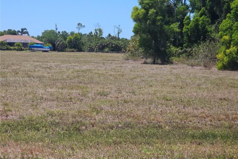 Land in Cape Coral, Florida № 1977250 - photo 1