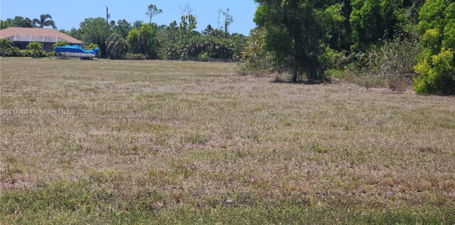 Land in Cape Coral, Florida № 1977250