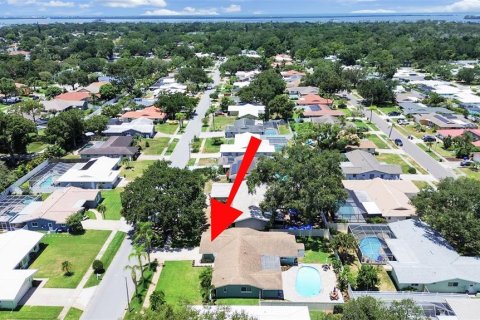 House in Dunedin, Florida 4 bedrooms, 188.5 sq.m. № 2157191 - photo 8
