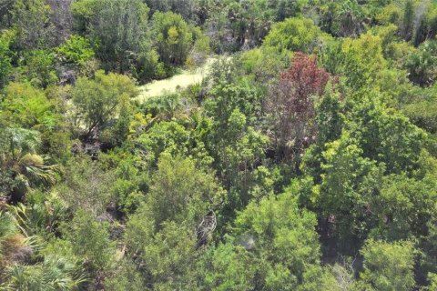 Condo in Osprey, Florida, 2 bedrooms  № 1899692 - photo 13