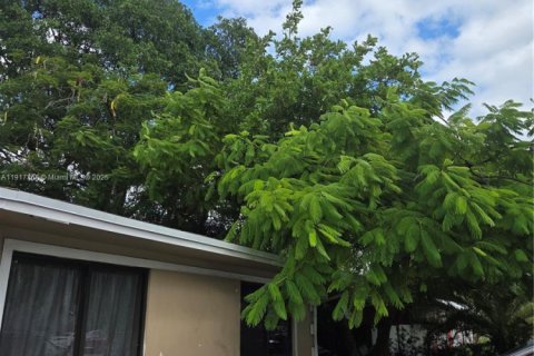 Villa ou maison à louer à Oakland Park, Floride: 1 chambre, 69.68 m2 № 1973487 - photo 2