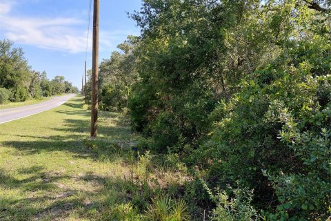Land in Webster, Florida № 2209941