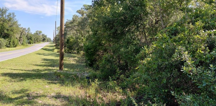 Land in Webster, Florida № 2209941