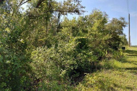 Land in Webster, Florida № 2209941 - photo 3
