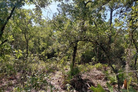 Land in Webster, Florida № 2209941 - photo 11