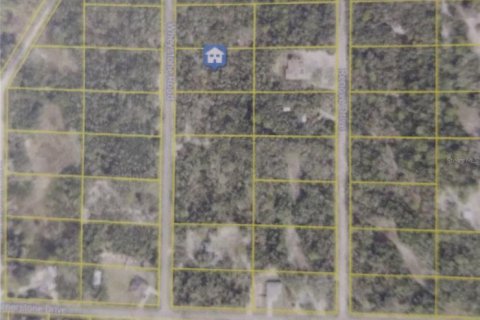 Land in Webster, Florida № 2209941 - photo 18