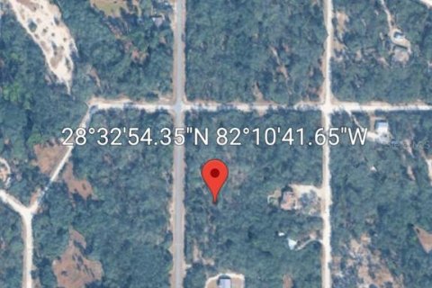 Land in Webster, Florida № 2209941 - photo 20