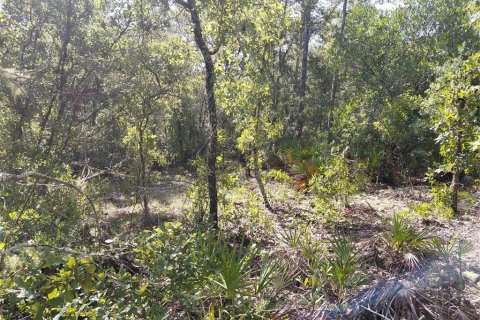 Land in Webster, Florida № 2209941 - photo 10
